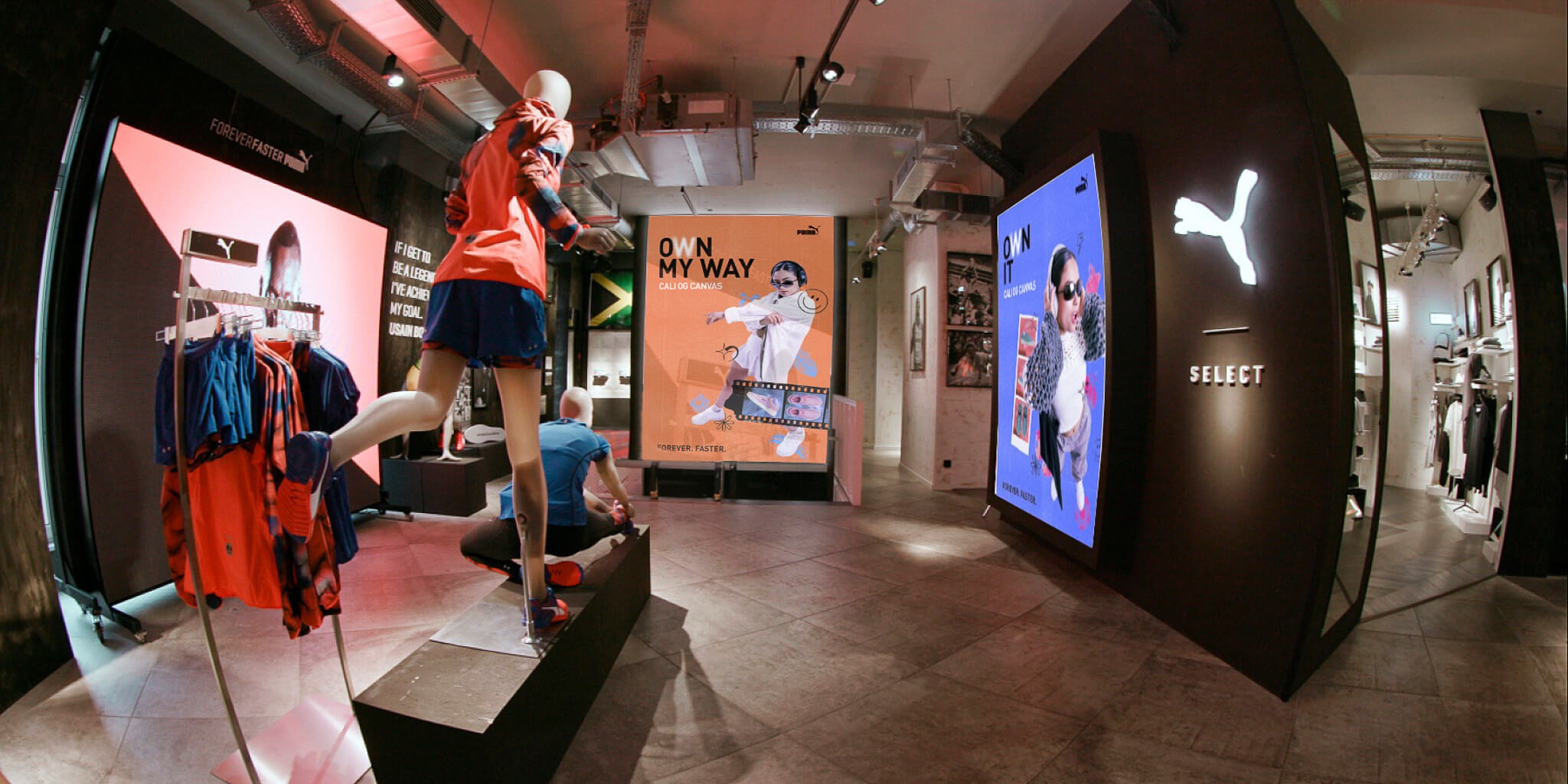 Imagen 9 de PUMA